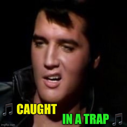 Elvis, thank you | ? CAUGHT IN A TRAP ? | image tagged in elvis thank you | made w/ Imgflip meme maker