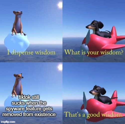 Wisdom dog | tiktok still sucks when the spyware feature gets removed from existence | image tagged in wisdom dog | made w/ Imgflip meme maker