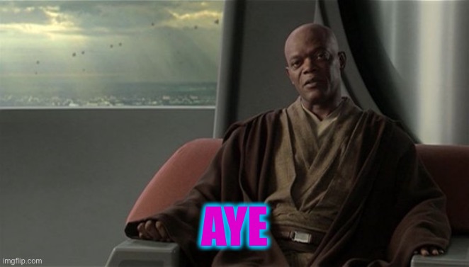 Mace Windu Jedi Council | AYE | image tagged in mace windu jedi council | made w/ Imgflip meme maker