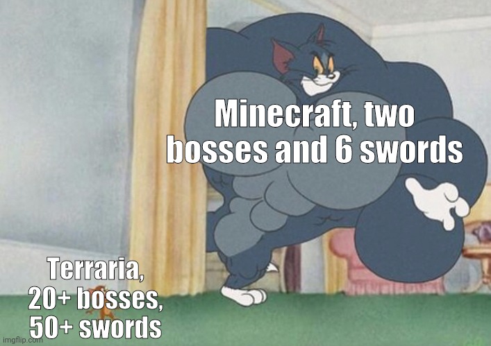 Why does no one mind terraria | Minecraft, two bosses and 6 swords; Terraria, 20+ bosses, 50+ swords | image tagged in tom and jerry | made w/ Imgflip meme maker
