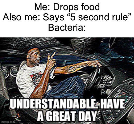 UNDERSTANDABLE, HAVE A GREAT DAY | Me: Drops food
Also me: Says “5 second rule”
Bacteria: | image tagged in understandable have a great day | made w/ Imgflip meme maker
