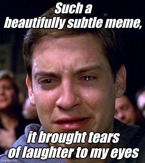 crying peter parker | Such a beautifully subtle meme, it brought tears of laughter to my eyes | image tagged in crying peter parker | made w/ Imgflip meme maker