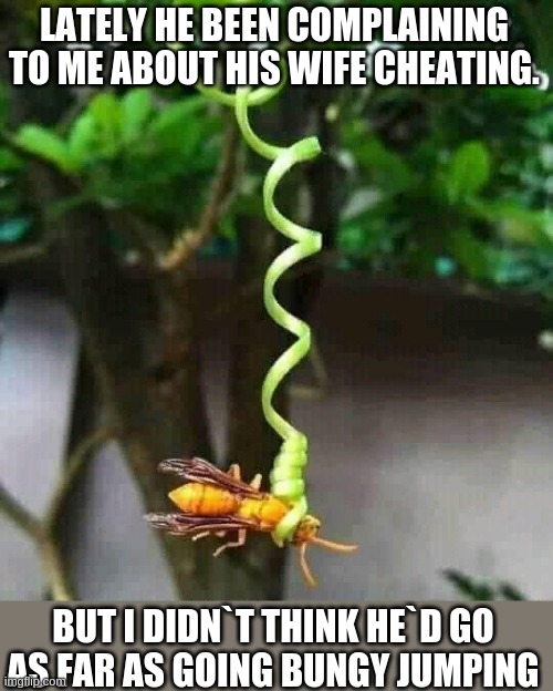 LATELY HE BEEN COMPLAINING TO ME ABOUT HIS WIFE CHEATING. BUT I DIDN`T THINK HE`D GO AS FAR AS GOING BUNGY JUMPING | image tagged in memes | made w/ Imgflip meme maker