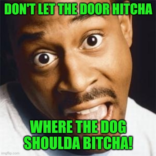 Martin Lawrence | DON'T LET THE DOOR HITCHA WHERE THE DOG SHOULDA BITCHA! | image tagged in martin lawrence | made w/ Imgflip meme maker