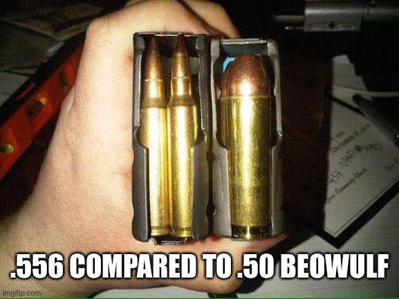 .556 COMPARED TO .50 BEOWULF | made w/ Imgflip meme maker