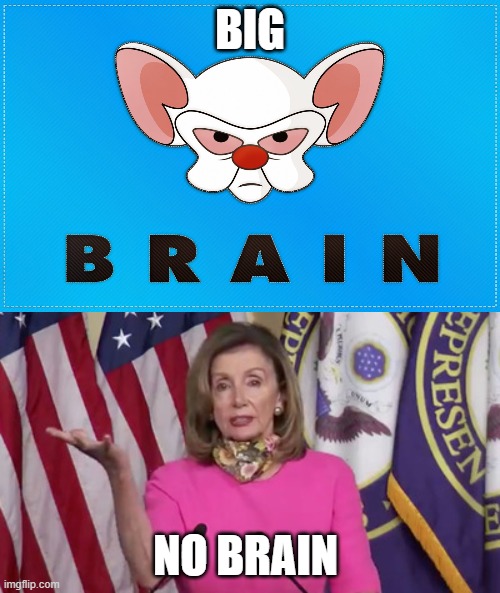 BRAIN | BIG; NO BRAIN | image tagged in scumbag brain | made w/ Imgflip meme maker