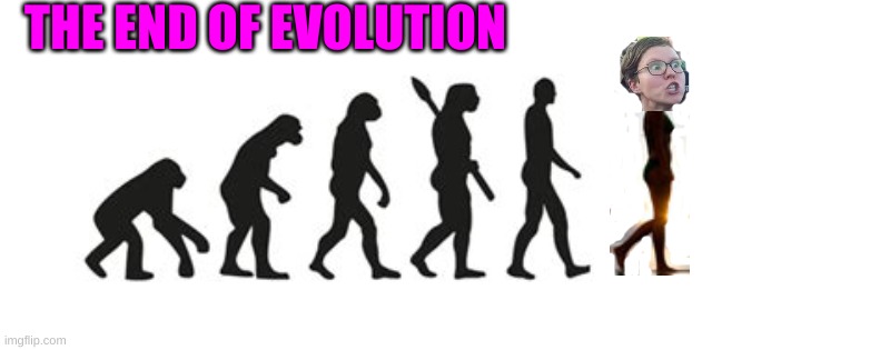 Terminal generation | THE END OF EVOLUTION | image tagged in evolution template | made w/ Imgflip meme maker