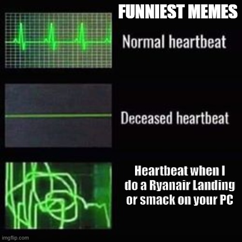 Funny heartbeat memes | FUNNIEST MEMES; Heartbeat when I do a Ryanair Landing or smack on your PC | image tagged in heartbeat rate | made w/ Imgflip meme maker