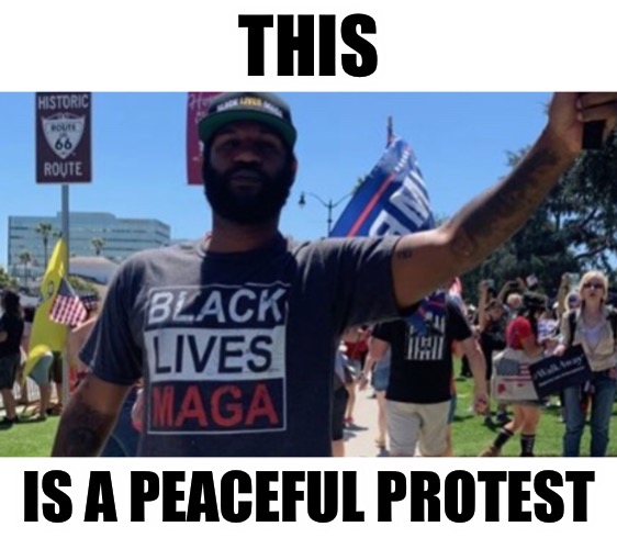 THIS IS A PEACEFUL PROTEST | made w/ Imgflip meme maker