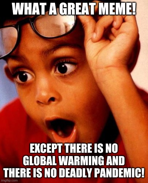 Wow | WHAT A GREAT MEME! EXCEPT THERE IS NO GLOBAL WARMING AND THERE IS NO DEADLY PANDEMIC! | image tagged in wow | made w/ Imgflip meme maker