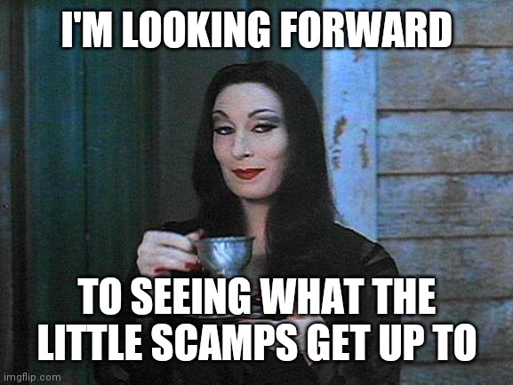 Morticia drinking tea | I'M LOOKING FORWARD TO SEEING WHAT THE LITTLE SCAMPS GET UP TO | image tagged in morticia drinking tea | made w/ Imgflip meme maker