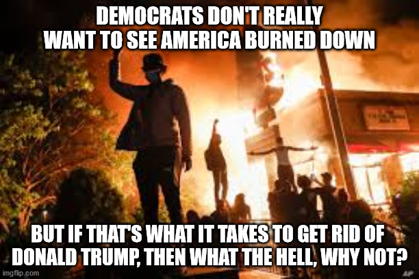 letting America burn | DEMOCRATS DON'T REALLY WANT TO SEE AMERICA BURNED DOWN; BUT IF THAT'S WHAT IT TAKES TO GET RID OF 
DONALD TRUMP, THEN WHAT THE HELL, WHY NOT? | image tagged in left wing | made w/ Imgflip meme maker