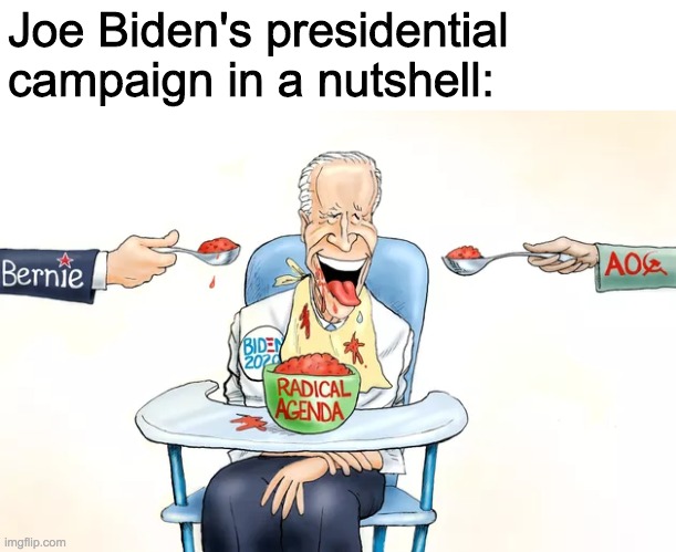 Trump & Pence 2020 | Joe Biden's presidential campaign in a nutshell: | image tagged in funny,memes,politics,comics/cartoons,joe biden | made w/ Imgflip meme maker