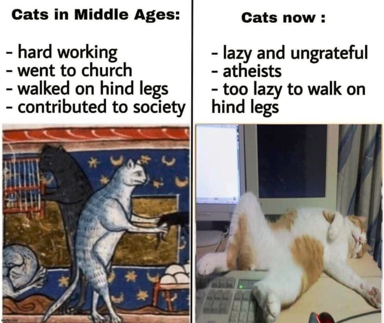 You have changed | image tagged in cats | made w/ Imgflip meme maker