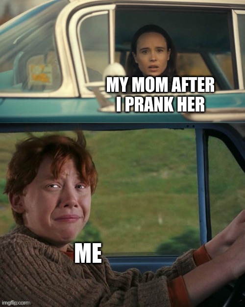Wut | MY MOM AFTER I PRANK HER; ME | image tagged in vanya and ron driving | made w/ Imgflip meme maker