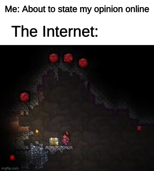 S H U T | Me: About to state my opinion online; The Internet: | image tagged in terraria,internet,the internet,unpopular opinion,opinions,opinion | made w/ Imgflip meme maker