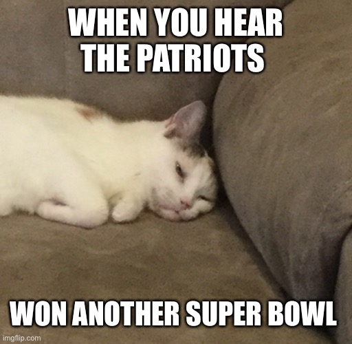 Cat comedy (sorry if I make the patriots fans mad) | WHEN YOU HEAR THE PATRIOTS; WON ANOTHER SUPER BOWL | image tagged in depressed cat | made w/ Imgflip meme maker