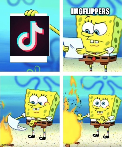 TikTok is banned | IMGFLIPPERS | image tagged in spongebob burning paper | made w/ Imgflip meme maker