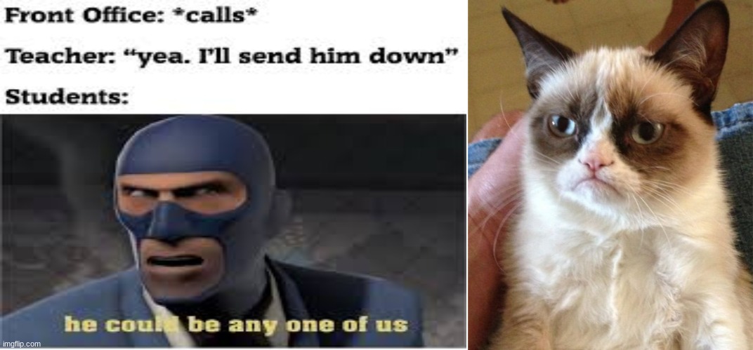 image tagged in memes,grumpy cat | made w/ Imgflip meme maker