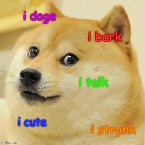 I Doge. | i doge; i bark; i talk; i cute; i stronk | image tagged in memes,doge,haha,omg,funny meme | made w/ Imgflip meme maker