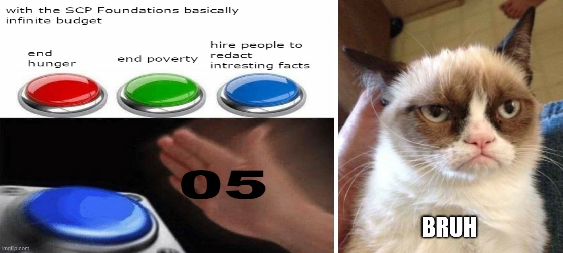 BRUH | image tagged in memes,grumpy cat reverse,blank white template | made w/ Imgflip meme maker