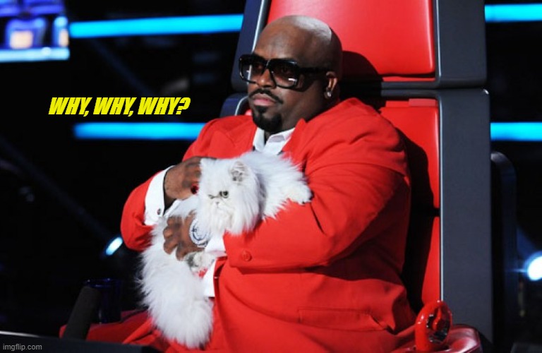 Ceelo Green - Why? | WHY, WHY, WHY? | image tagged in ceelo | made w/ Imgflip meme maker