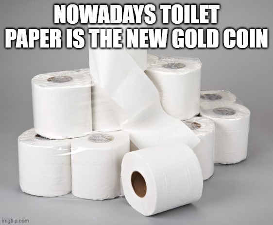 toilet paper | NOWADAYS TOILET PAPER IS THE NEW GOLD COIN | image tagged in toilet paper | made w/ Imgflip meme maker