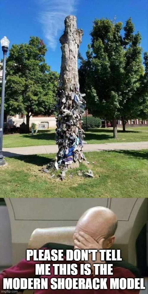 pls don't tell me THIS is how we organize shoes these days... | PLEASE DON'T TELL ME THIS IS THE MODERN SHOERACK MODEL | image tagged in memes,captain picard facepalm,stupidity,shoes,funny,what the heck | made w/ Imgflip meme maker