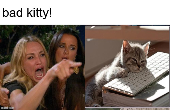 Woman Yelling At Cat Meme | bad kitty! | image tagged in memes,woman yelling at cat | made w/ Imgflip meme maker