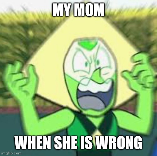 Peridot angry | MY MOM; WHEN SHE IS WRONG | image tagged in peridot angry | made w/ Imgflip meme maker