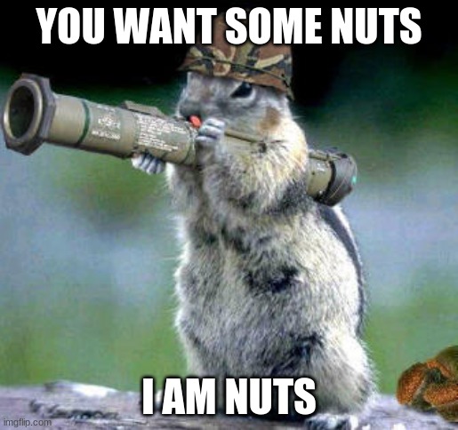 Bazooka Squirrel | YOU WANT SOME NUTS; I AM NUTS | image tagged in memes,bazooka squirrel | made w/ Imgflip meme maker