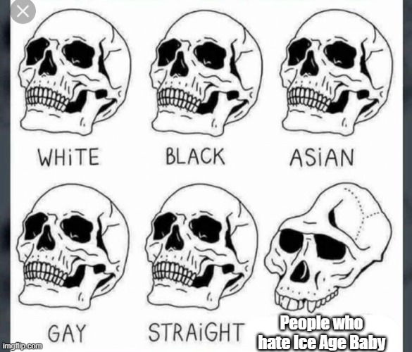 White Black Asian Gay Straight skull template | People who hate Ice Age Baby | image tagged in white black asian gay straight skull template | made w/ Imgflip meme maker