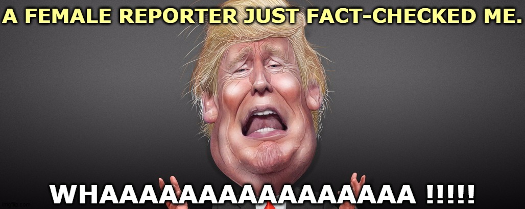 He just folds.Chickensh*t snowflake wimp. | A FEMALE REPORTER JUST FACT-CHECKED ME. WHAAAAAAAAAAAAAAAA !!!!! | image tagged in trump crybaby,trump,fact check,female,reporter,walk | made w/ Imgflip meme maker
