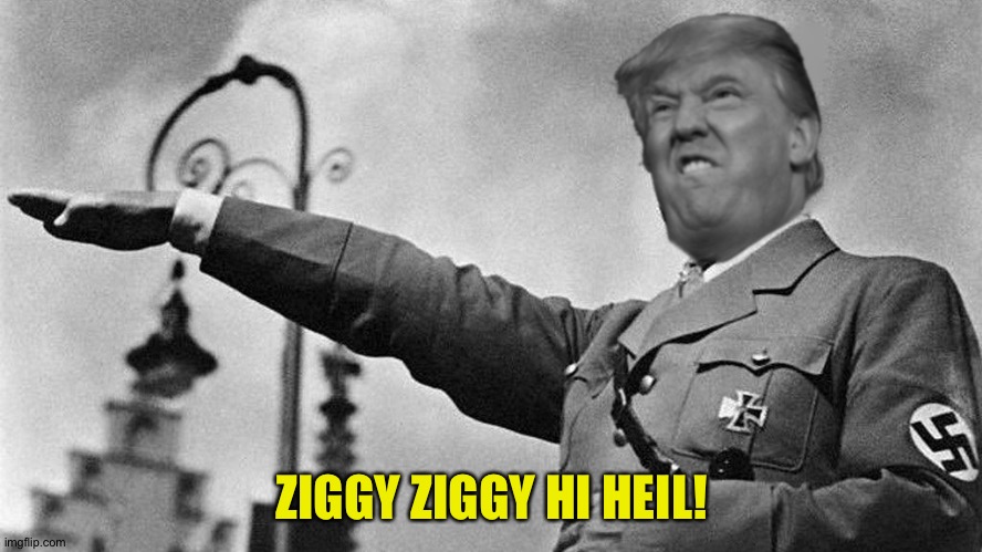 Donald Trump Hitler | ZIGGY ZIGGY HI HEIL! | image tagged in donald trump hitler | made w/ Imgflip meme maker