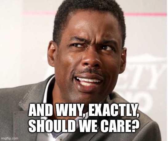 chris rock wut | AND WHY, EXACTLY, SHOULD WE CARE? | image tagged in chris rock wut | made w/ Imgflip meme maker