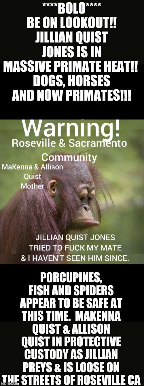 ****BOLO****
BE ON LOOKOUT!! JILLIAN QUIST JONES IS IN MASSIVE PRIMATE HEAT!! 
DOGS, HORSES AND NOW PRIMATES!!! PORCUPINES, FISH AND SPIDERS APPEAR TO BE SAFE AT THIS TIME.  MAKENNA QUIST & ALLISON QUIST IN PROTECTIVE CUSTODY AS JILLIAN PREYS & IS LOOSE ON THE STREETS OF ROSEVILLE CA | image tagged in jillian quist jones makenna allison 500 dogs | made w/ Imgflip meme maker