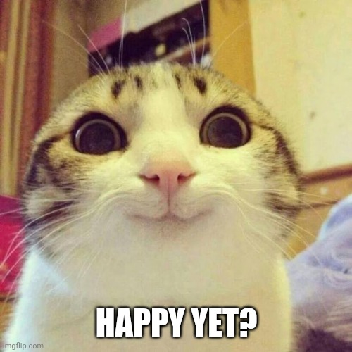 :) | HAPPY YET? | image tagged in memes,smiling cat | made w/ Imgflip meme maker
