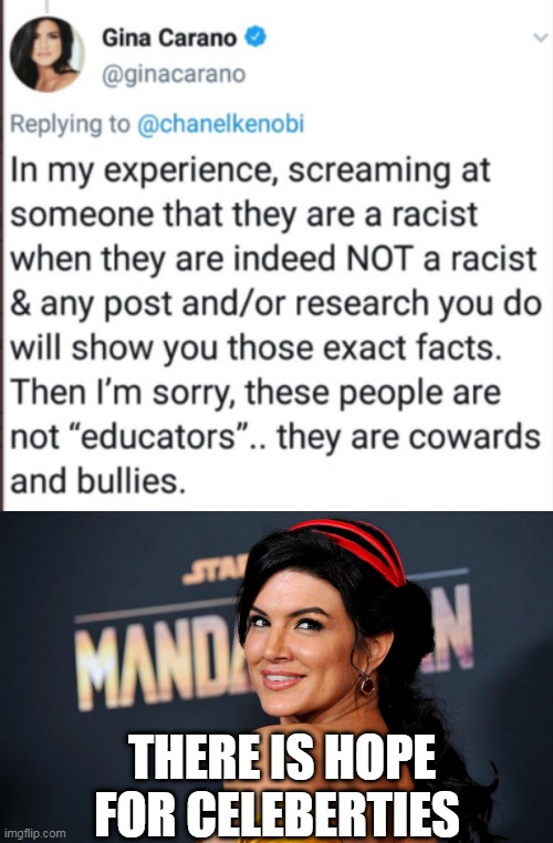 NOT ALL CELEBERTIES ARE BAD | THERE IS HOPE FOR CELEBERTIES | image tagged in gina carano,celebrity,the mandalorian,twitter | made w/ Imgflip meme maker