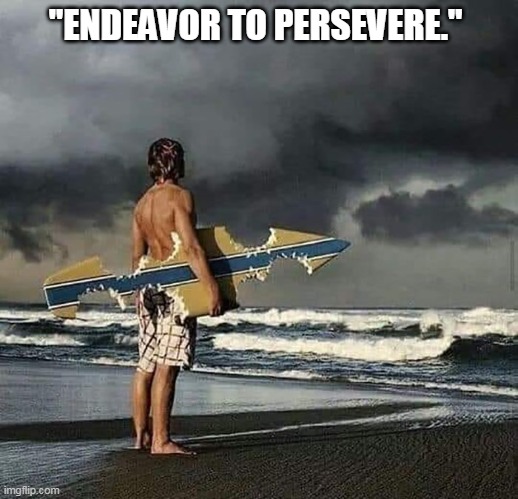 Brave New World | "ENDEAVOR TO PERSEVERE." | image tagged in surfing | made w/ Imgflip meme maker
