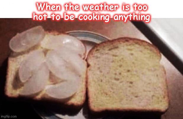 Hot weather | When the weather is too hot to be cooking anything | image tagged in hot day | made w/ Imgflip meme maker