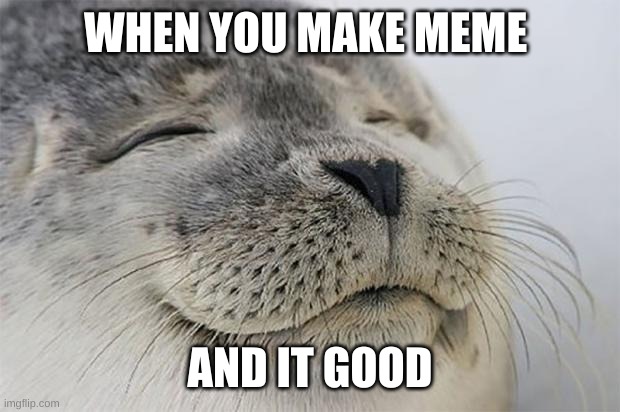 motivational seal | WHEN YOU MAKE MEME; AND IT GOOD | image tagged in memes | made w/ Imgflip meme maker