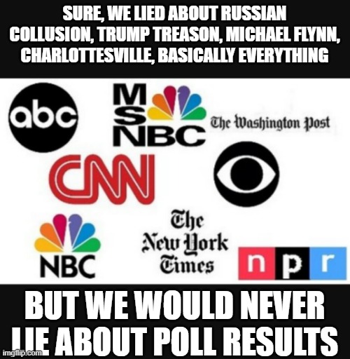 Media lies | SURE, WE LIED ABOUT RUSSIAN COLLUSION, TRUMP TREASON, MICHAEL FLYNN, CHARLOTTESVILLE, BASICALLY EVERYTHING; BUT WE WOULD NEVER LIE ABOUT POLL RESULTS | image tagged in media lies | made w/ Imgflip meme maker