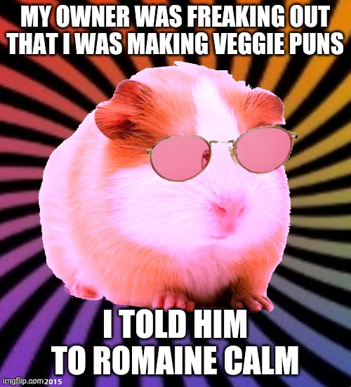 Romaine Calm | MY OWNER WAS FREAKING OUT THAT I WAS MAKING VEGGIE PUNS; I TOLD HIM TO ROMAINE CALM | image tagged in swaggy the guinea pig,wheek wheek | made w/ Imgflip meme maker