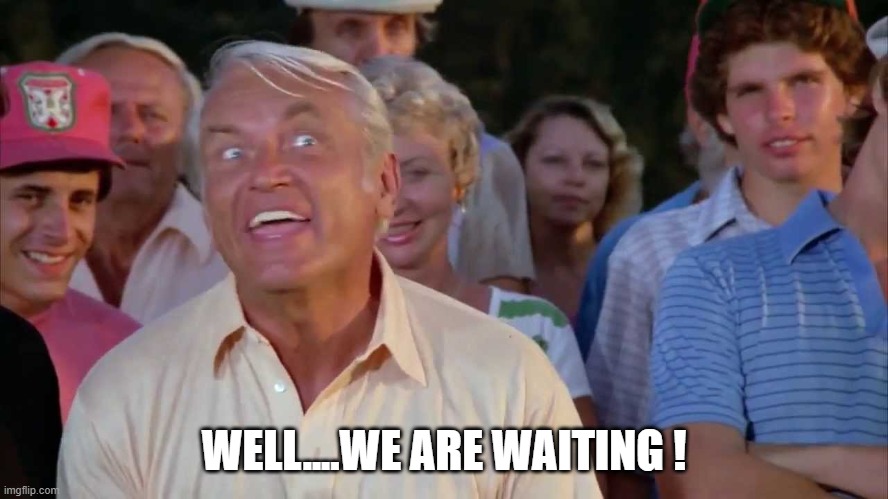 WELL....WE ARE WAITING ! | made w/ Imgflip meme maker