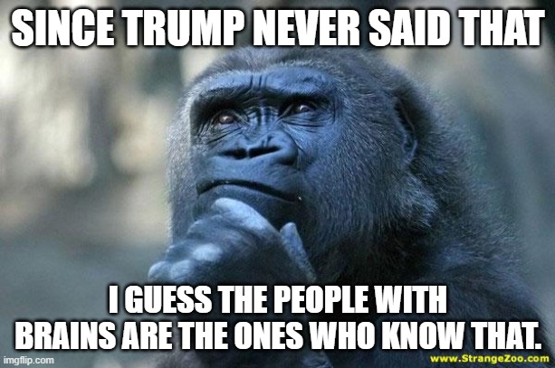 Deep Thoughts | SINCE TRUMP NEVER SAID THAT I GUESS THE PEOPLE WITH BRAINS ARE THE ONES WHO KNOW THAT. | image tagged in deep thoughts | made w/ Imgflip meme maker