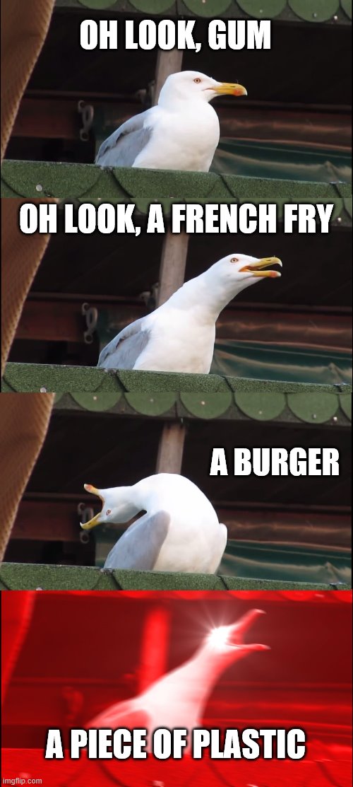 Inhaling Seagull Meme | OH LOOK, GUM; OH LOOK, A FRENCH FRY; A BURGER; A PIECE OF PLASTIC | image tagged in memes,inhaling seagull | made w/ Imgflip meme maker