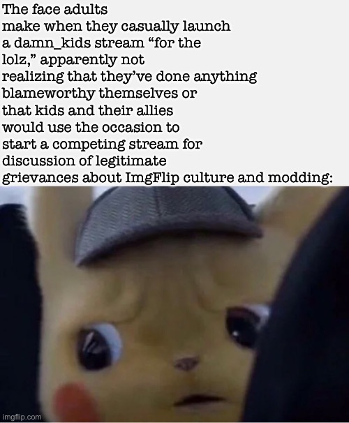 Tl;dr: Damn adults. | The face adults make when they casually launch a damn_kids stream “for the lolz,” apparently not realizing that they’ve done anything blameworthy themselves or that kids and their allies would use the occasion to start a competing stream for discussion of legitimate grievances about ImgFlip culture and modding: | image tagged in detective pikachu,damn,adults,imgflip community,imgflip mods,meanwhile on imgflip | made w/ Imgflip meme maker