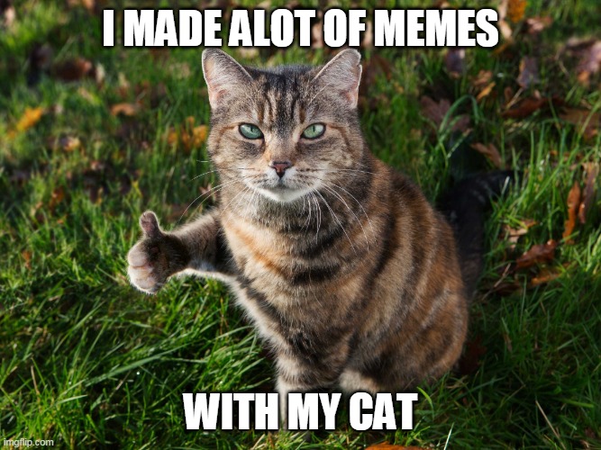 THUMBS UP CAT | I MADE ALOT OF MEMES WITH MY CAT | image tagged in thumbs up cat | made w/ Imgflip meme maker