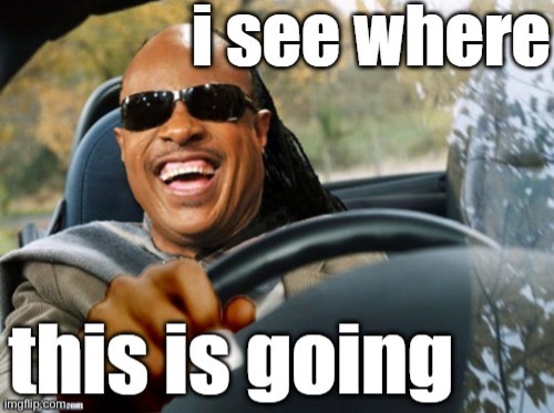 Stevie wonder driving I see where this is going Blank Meme Template