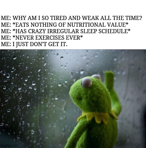 Sad Kermit | ME: WHY AM I SO TIRED AND WEAK ALL THE TIME?
ME: *EATS NOTHING OF NUTRITIONAL VALUE*
ME: *HAS CRAZY IRREGULAR SLEEP SCHEDULE*
ME: *NEVER EXERCISES EVER*
ME: I JUST DON'T GET IT. | image tagged in sad kermit | made w/ Imgflip meme maker